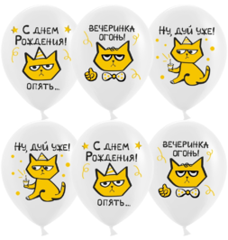 Шар (12''/30 см) С Днем Рождения! (рыжий котик), Белый, пастель - фото