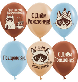 Шар (12''/30 см) С Днем Рождения! (сердитая кошка), Ассорти, пастель, 2 ст - фото